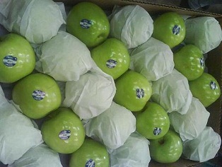 Предлагаем яблоки из Аргентины