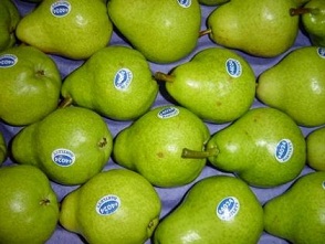 Предлагаем груши из Аргентины
