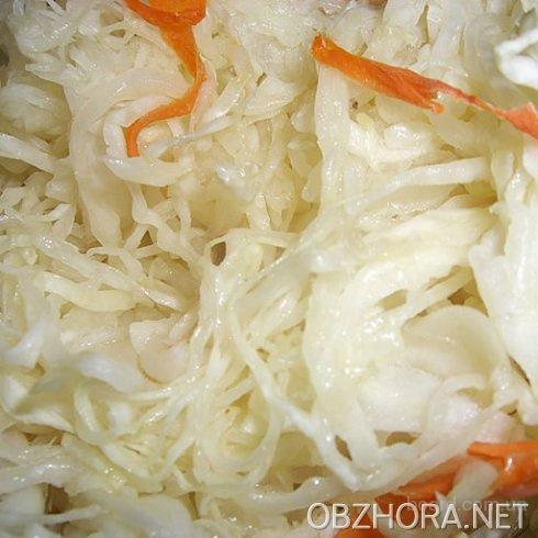 квашенная капуста оптом