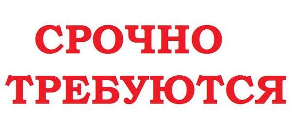 Единомышленника по бизнесу