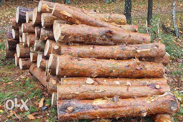 Продам дрова сосны, акации