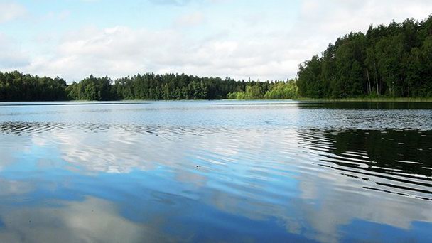 Шикарный участок 70 соток у озера.