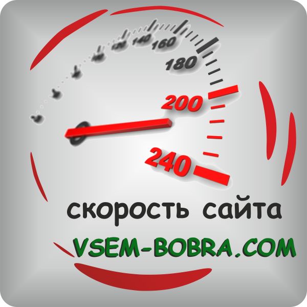 Интернет агнетство Всем-Бобра