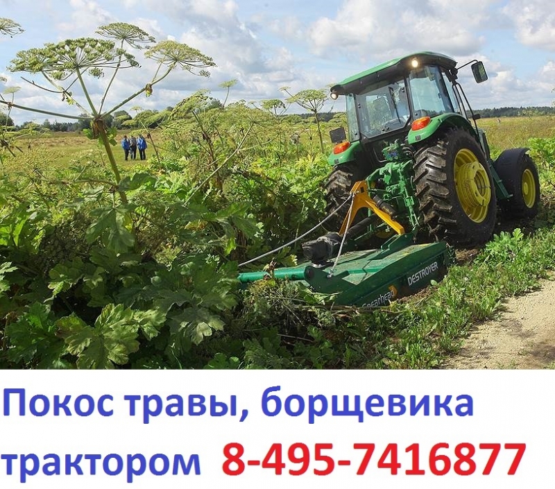 89637508470 Услуги трактора по покосу борщевика , покос бурьяна Московская область