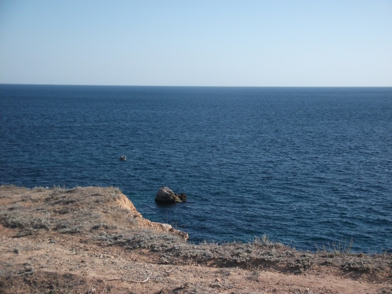 Отдых на море, семейный , с детьми