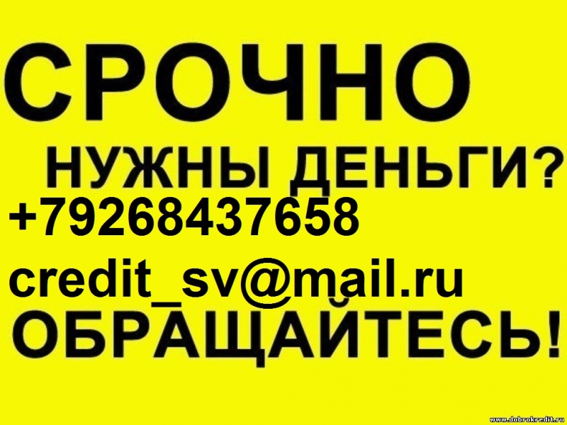 Деньги за день обращения, с любой историей