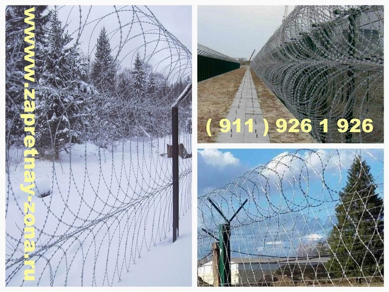 Монтаж заграждений Репейник , Шиповник , Акация в Санкт-Петербурге