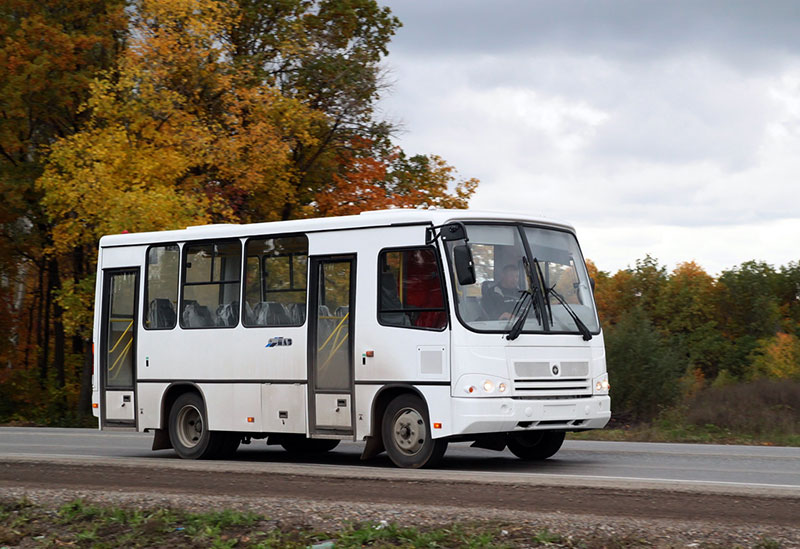 Срочно нужны автобусы ПАЗ на 25-30 мест