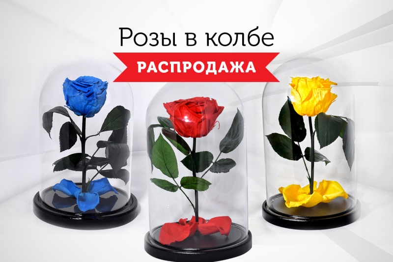 Розы в колбе - Распродажа