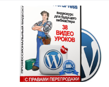 Стань Мастером на WORD PRESS.