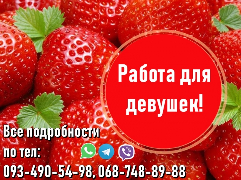 Мы приглашаем девушек на стабильные заработки