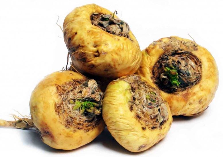 Купить Маки перуанской экстракт