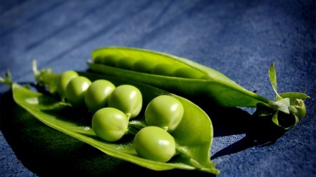 Семена гороха Ла Манш, Сантана, Софья, Аксайский усатый 5,7