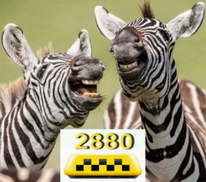Такси Одесса заказ по 2880 быстро
