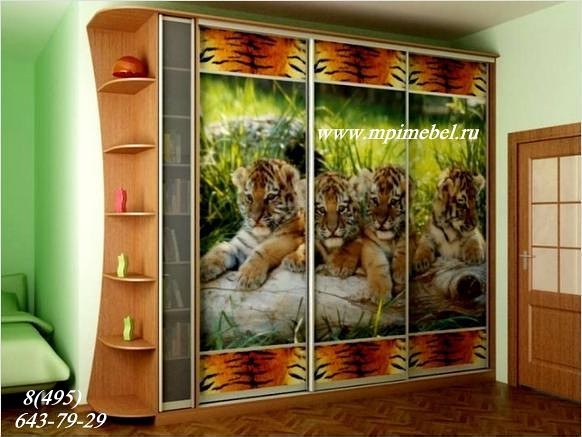 Встроенные шкафы купе, кухни нестандарт