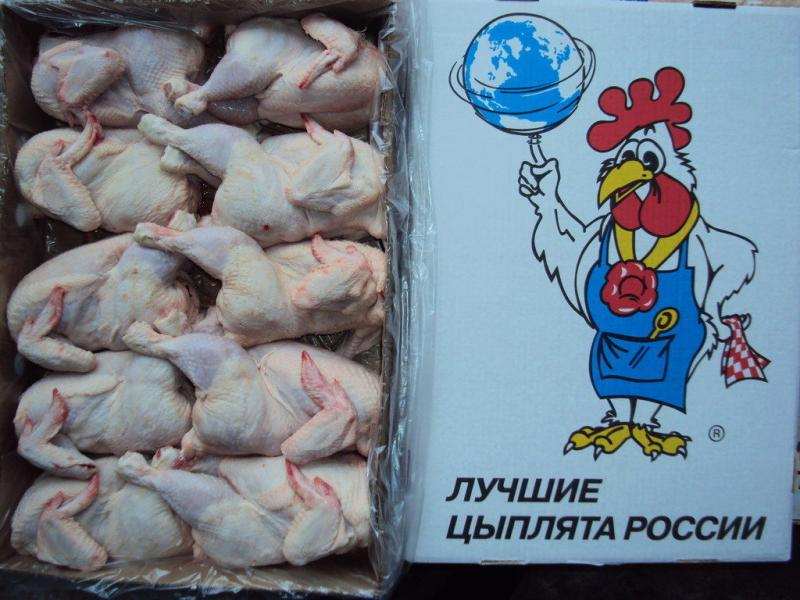 Цыплята, бройлерный по 1,5 кг. Высшего качества, опт от 40 т.