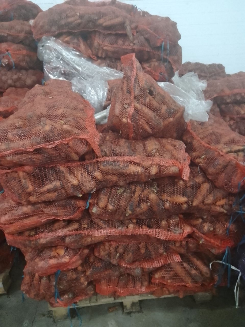 Морковь оптом, прямые поставки.