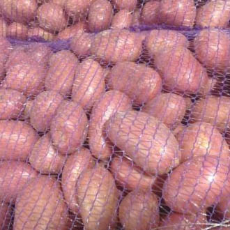 Алтайский картофель оптом для готовки, сушки, чипсов и фри