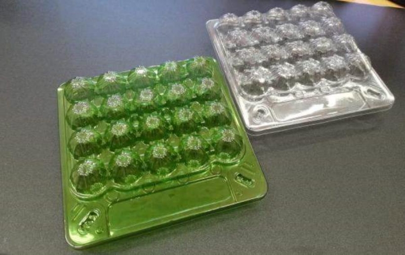 Коррексы под перепелиное яйцо от производителя